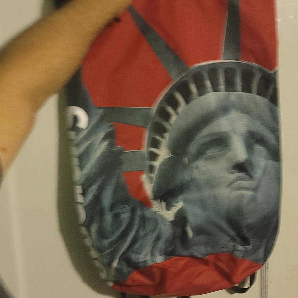 Supreme x The North Face Statue of Liberty backpack